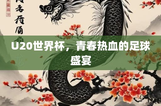U20世界杯，青春热血的足球盛宴