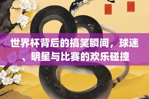 世界杯背后的搞常熟市高丰毛纺织品有限公司笑瞬间，球迷、明星与比赛的欢乐碰撞