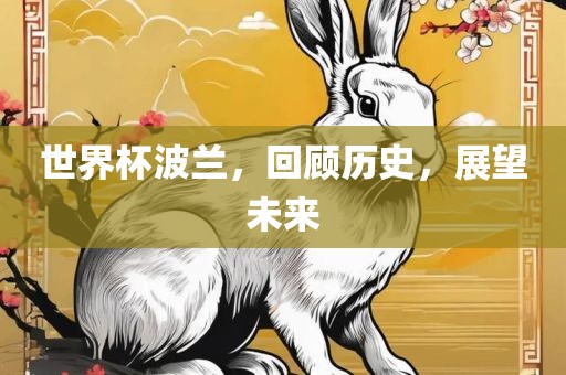 世界杯波兰，回顾历史，展望未来常熟市高丰毛纺织品有限公司