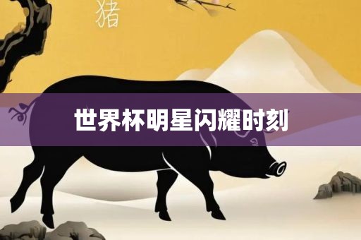 世界杯明星闪耀时刻常熟市高丰毛纺织品有限公司