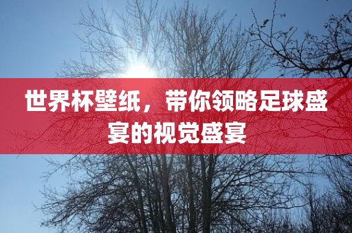 世界杯壁纸，带你领略足球盛宴的视觉盛宴
