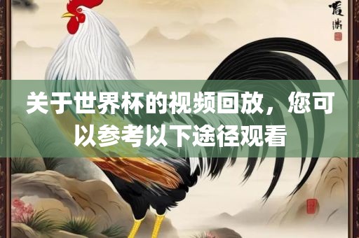 关于世界杯的视频回放，您可以参考以下途径观看
