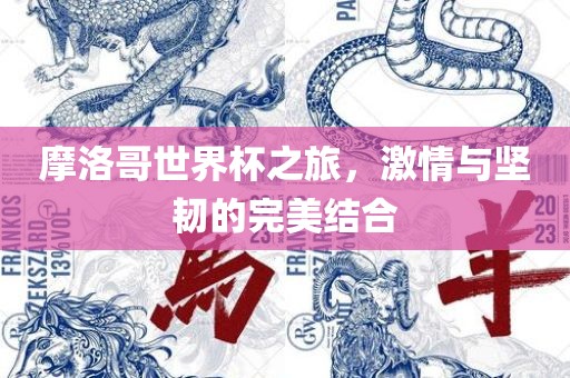 摩洛哥世界杯之旅，激情与坚韧的完美结合常熟市高丰毛纺织品有限公司