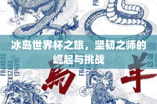 冰岛世界杯之旅，坚韧之师的崛起与挑战