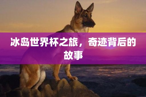 冰岛世界杯之旅，奇迹背后的故事
