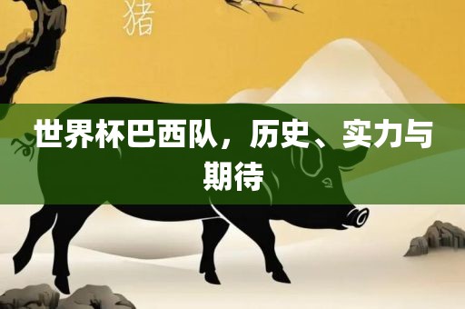 世界杯巴西队，历史、实力与期待
