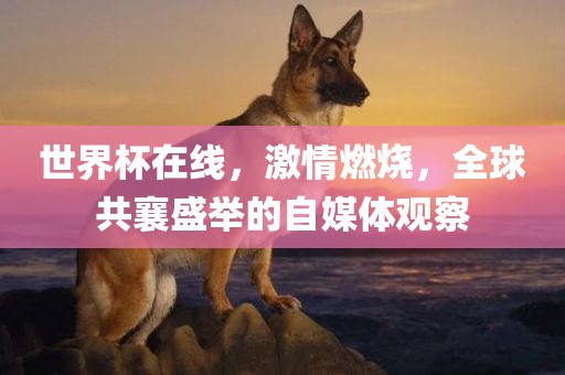 世界杯在线，激情燃烧，全球共襄盛举的自媒体观察
