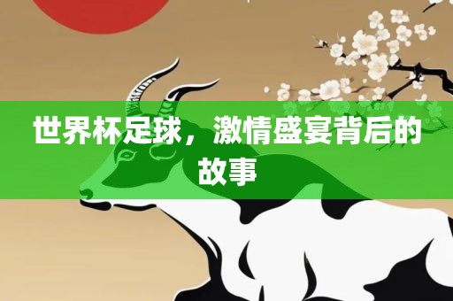 世界杯足球，激情盛宴背后的故事常熟市高丰毛纺织品有限公司