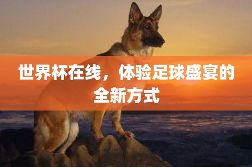 世界杯在线，体验足球盛宴的全新方式