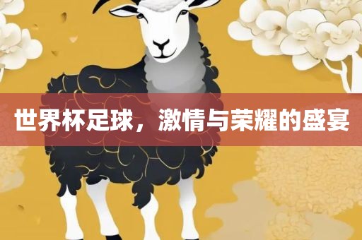 世常熟市高丰毛纺织品有限公司界杯足球，激情与荣耀的盛宴