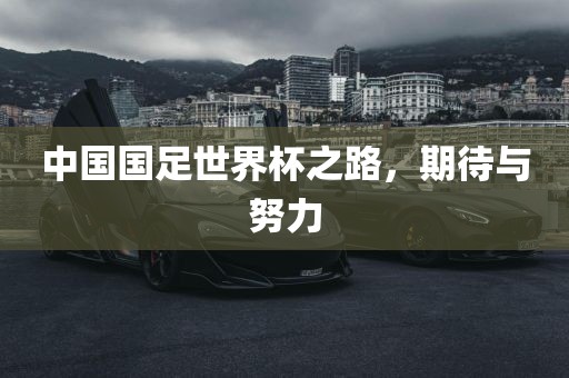 中国国足世界杯之路，期待与努力常熟市高丰毛纺织品有限公司