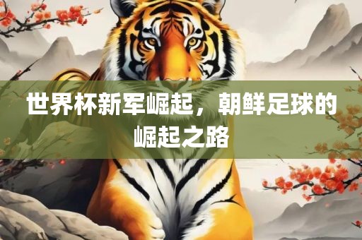 世界杯新军崛起，朝鲜足球的崛起之路常熟市高丰毛纺织品有限公司