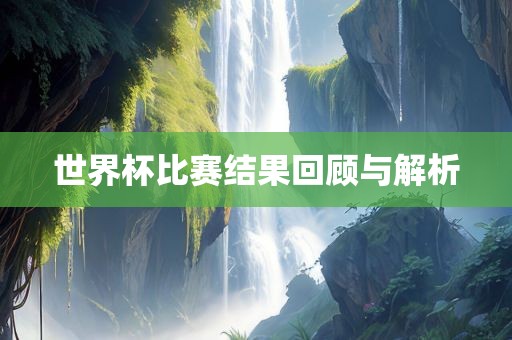 世界杯比赛结果回顾与解析