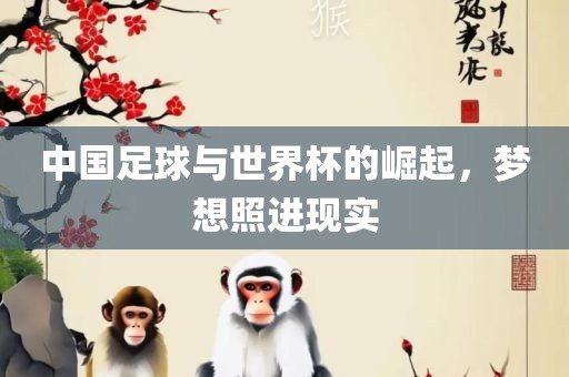 中国足球与世界杯的崛起，梦想照进现实常熟市高丰毛纺织品有限公司