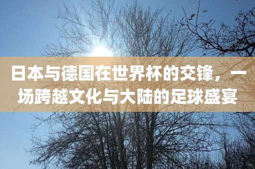 日本与德国在世界杯的交锋，一场跨越文化与大陆的足球盛宴常熟市高丰毛纺织品有限公司