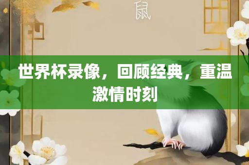 世界杯录像，回顾经典，重温激情时刻