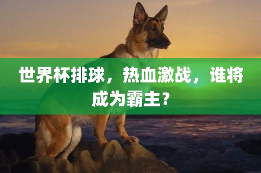 世界杯排球，热血激战，谁将成为霸主？