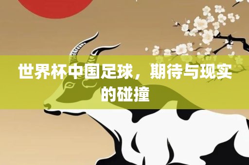 世界杯中国足球，期待与现实的碰撞