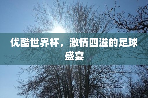 优酷世界杯，激情四溢的足球盛宴常熟市高丰毛纺织品有限公司