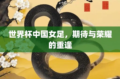 世界杯中国女足，期待与荣耀的重逢