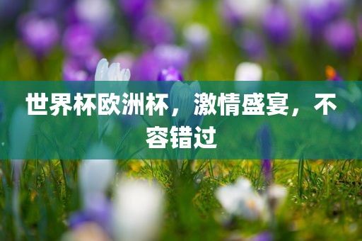 世界杯欧洲杯，激情盛宴，不容错过常熟市高丰毛纺织品有限公司