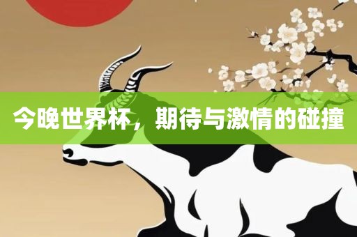 今晚世界杯，期待与激情的碰撞