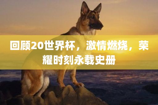 回顾20世界杯，激情燃烧，荣耀时刻永载史册常熟市高丰毛纺织品有限公司