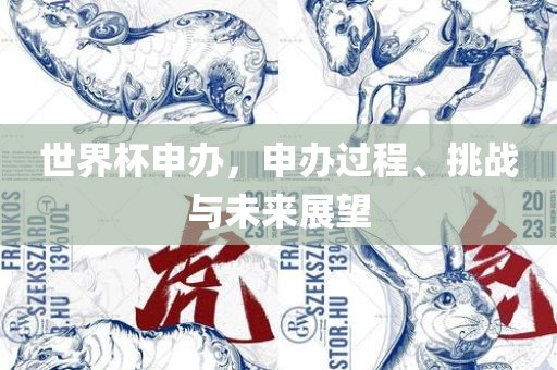 世界杯申办，申办过程、挑战与未来展望常熟市高丰毛纺织品有限公司