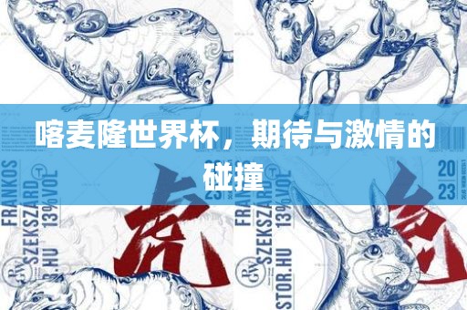 喀麦隆世界杯，期待与激情的碰撞