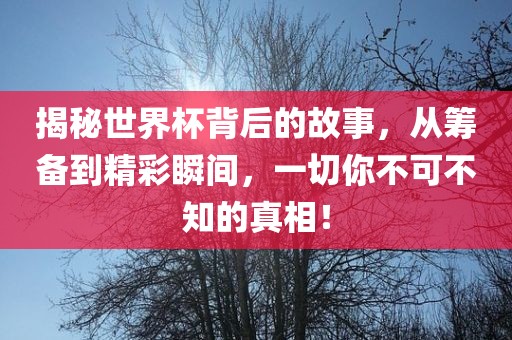 揭秘世界杯背后的故事，从筹备到精彩瞬间，一切你不可不知的真相！常熟市高丰毛纺织品有限公司