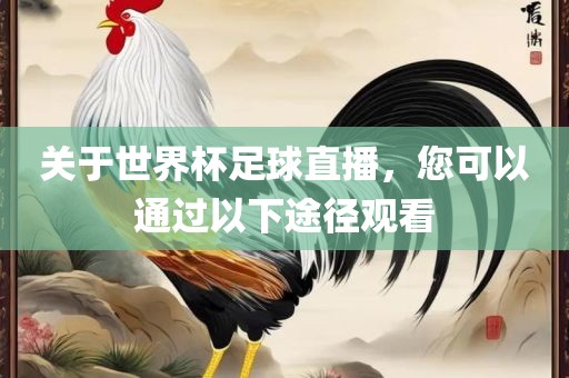 关于世界杯足球直播，您可以通过以下途径观看