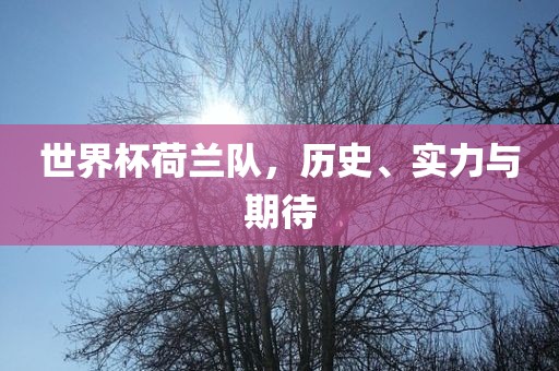世界杯荷兰队，历史、实力与期待