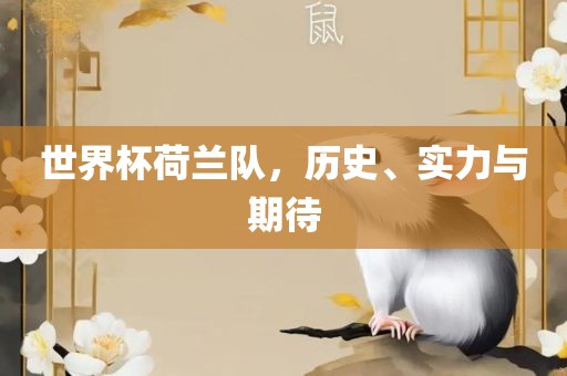 世界杯荷兰队，历史、实力与期待