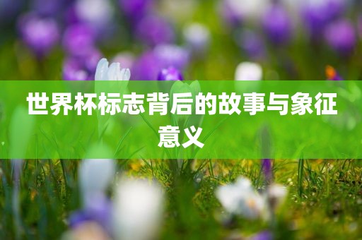 世界杯标志背后的故事与象征意义常熟市高丰毛纺织品有限公司
