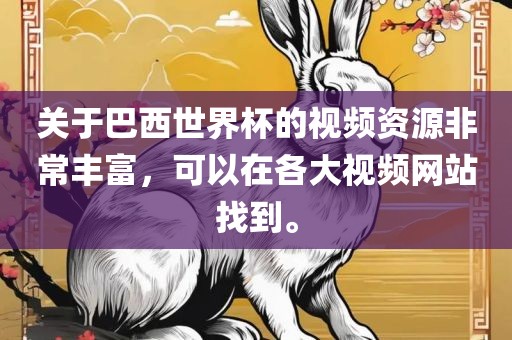 关于巴西世界杯的视频资源非常丰富，可以在各大视频网站找到。常熟市高丰毛纺织品有限公司