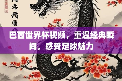巴西世界杯视频，重温经典瞬间，感受足球魅力常熟市高丰毛纺织品有限公司