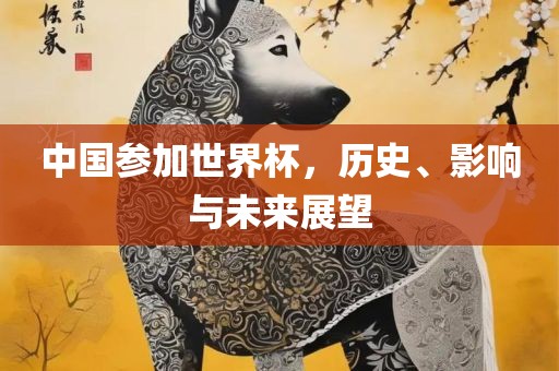 中国参加世界杯，历史、影响与未来展望