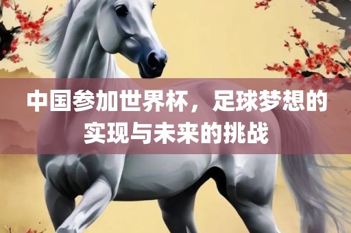 中国参加世界杯，足球梦想的实现与未来的挑战常熟市高丰毛纺织品有限公司
