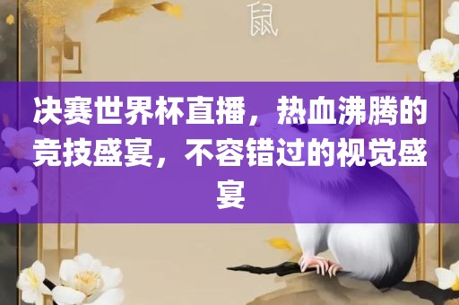 决赛世界杯直播，热血沸腾的竞技盛宴，不容错过的视觉盛宴