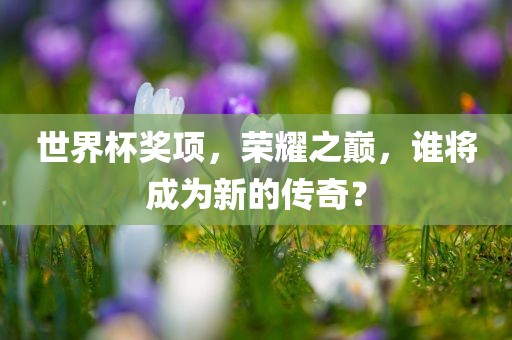 世界杯奖项，荣耀之巅，谁将成为新的传奇？常熟市高丰毛纺织品有限公司