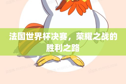 法国世界杯决赛常熟市高丰毛纺织品有限公司，荣耀之战的胜利之路