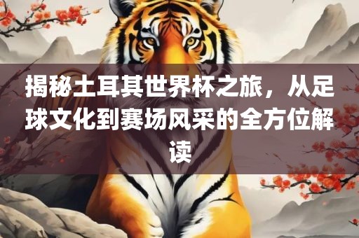 揭秘土耳其世界杯之旅，从足球文化到赛场风采的全方位解读常熟市高丰毛纺织品有限公司