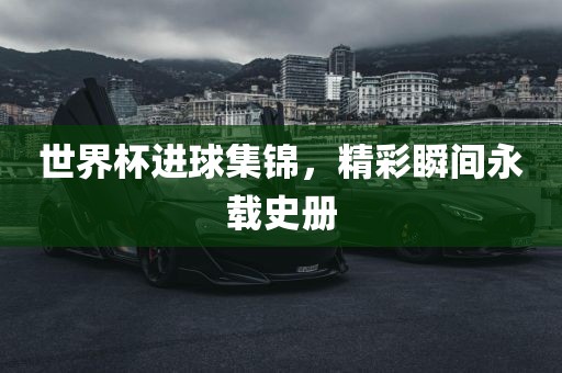 世界杯进球集锦，精彩瞬间永载史册常熟市高丰毛纺织品有限公司