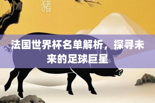 法常熟市高丰毛纺织品有限公司国世界杯名单解析，探寻未来的足球巨星