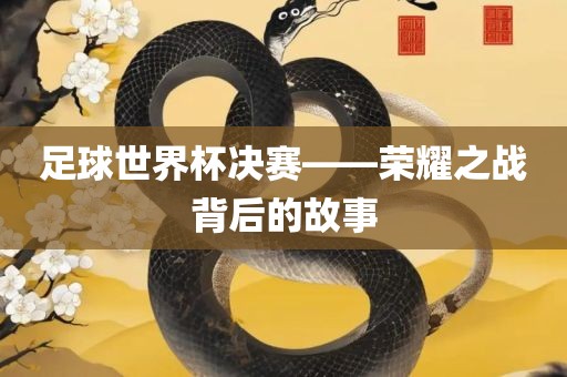 足球世界杯决赛——荣耀之战背后的故事