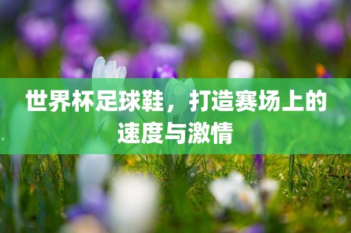 世界杯足球鞋，打造赛场上的速度与激情常熟市高丰毛纺织品有限公司