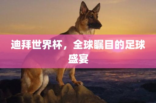 yujing 第6页