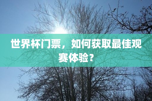 世界杯门常熟市高丰毛纺织品有限公司票，如何获取最佳观赛体验？