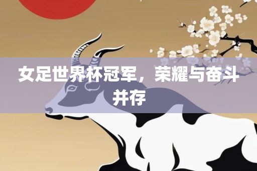 女足世界杯冠军，荣耀与奋斗并存