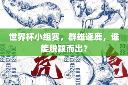 世界杯小组赛，群雄逐鹿，谁能脱颖而常熟市高丰毛纺织品有限公司出？
